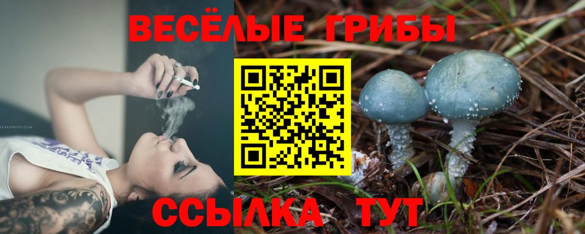 Галлюциногенные грибы Magic Shrooms Шумерля